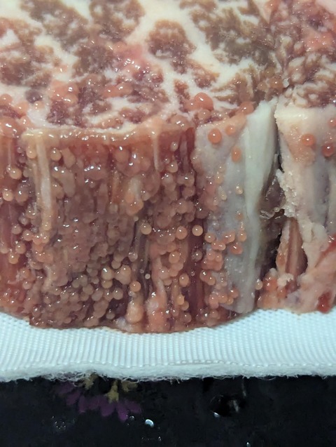 【画像】なんかステーキ肉がブツブツになってるんだけどこれなに?