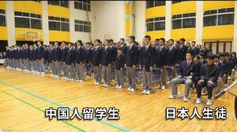 【なぜ?】東大大学院生の5人に1人が〇〇人になりました・・・