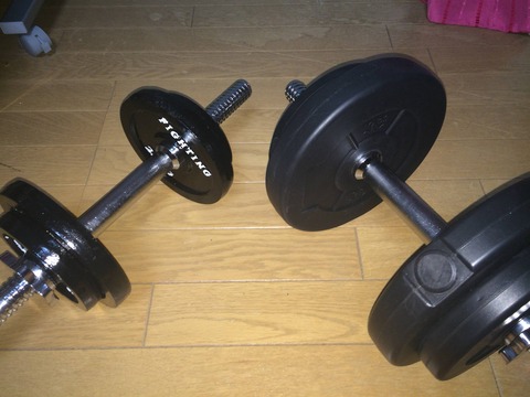 ダンベル片手30kg買ったんだがｗｗｗｗｗｗｗｗ