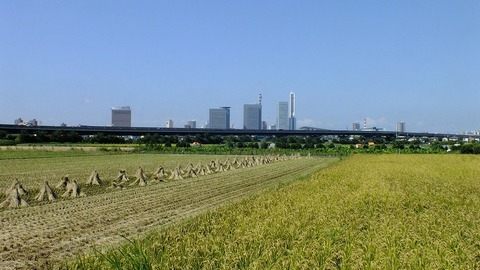 町田から大宮引っ越してきたんだがもしかして町田って田舎なの？
