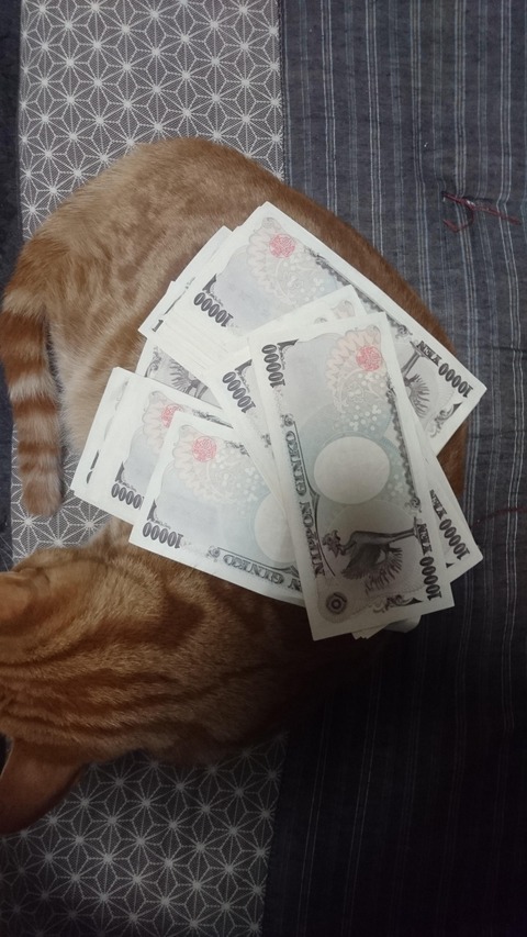 何となく50万が一下ろしてきた