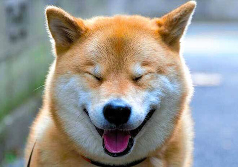 「唇」とかいうマジで意味の分からない人間だけについてる無駄な部分