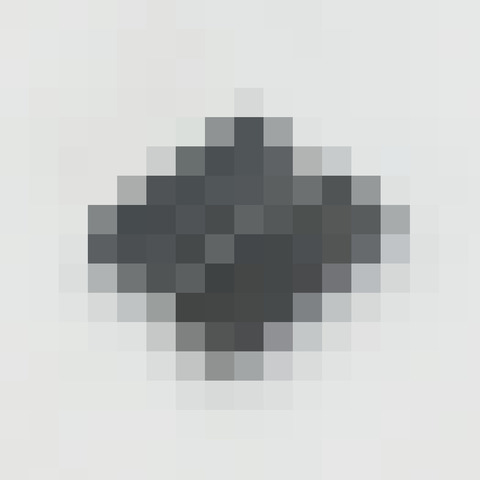 【画像】モザイクかかってるけど何が写ってるか分かるかな?