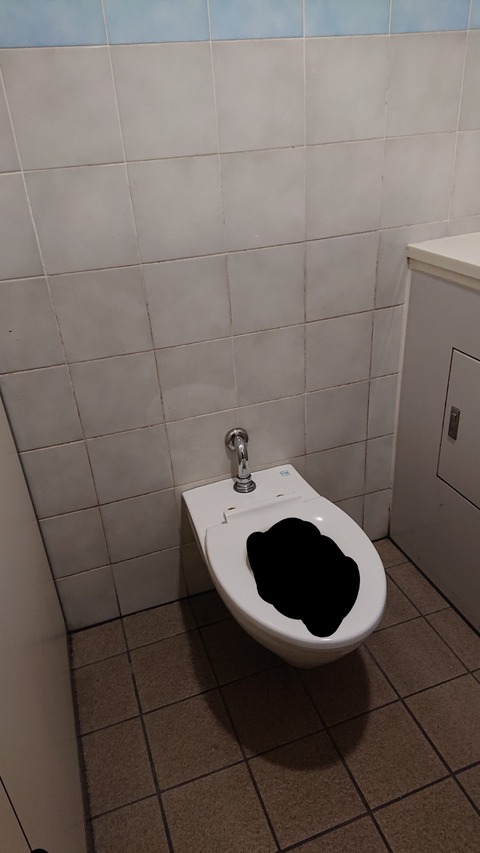 【画像】いま駅のトイレにいるんだけど流すボタンがない