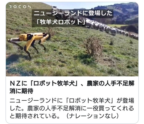 ニュージーランドに「ロボット牧羊犬」が登場 動画あり