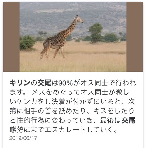 ザトウクジラ交尾の撮影に世界で初めて成功 研究者「ん?どっちもオスだな…」