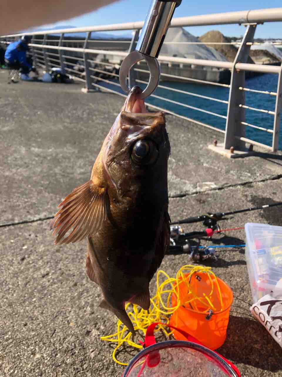 海釣り ポンスケの釣り時々よもやま話