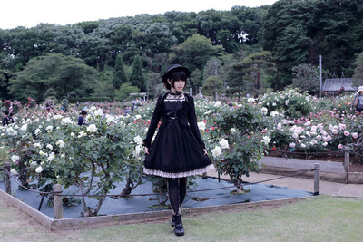 薔薇