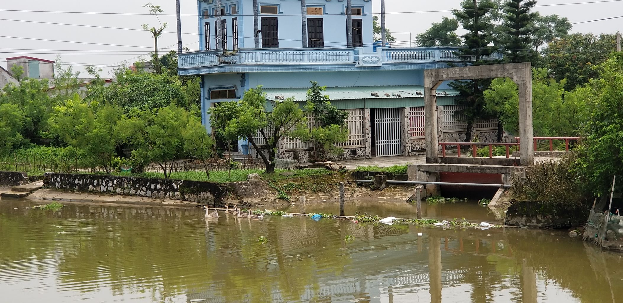 18年8月お盆休み ハノイ ドーソン クァットラム 10 クァットラムへの行き方 ナムディン風俗 ベトナムのショッピングモール フェリーに車 出稼ぎベトナム人 ベトナムの中学生 フェティシズム Fetishism By Japanese Tomcat Amour Sucre