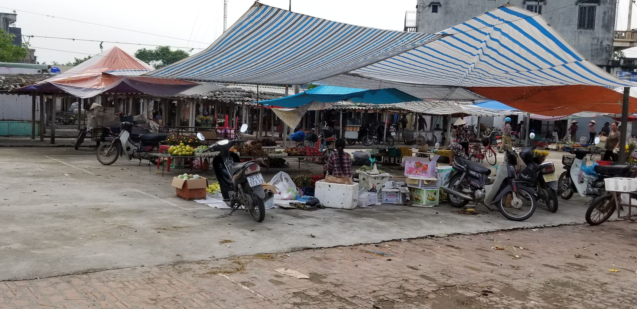 18年8月お盆休み ハノイ ドーソン クァットラム 9 桃源郷への道 ベトナムでツーリング 矢切の渡し ナムディンの秘境 風俗トラベラー憧れの地 100軒を超え置屋 東莞超え フェティシズム Fetishism By Japanese Tomcat Amour Sucre