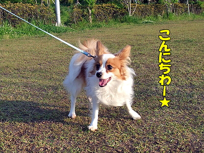 ¾®¤µ¤Ê¤ªµÒÍÍ¢