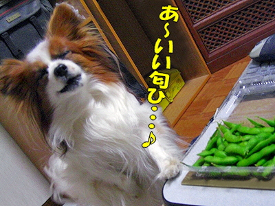 ¤¨¤À¤Þ¤á¡ú¥é¥Ö£