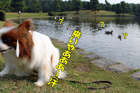 ¥«¥â¤Ê¤é¡¦¡¦¡¦ª