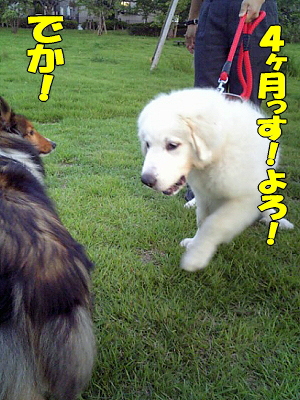 ¤Ç¤«¡ª¨