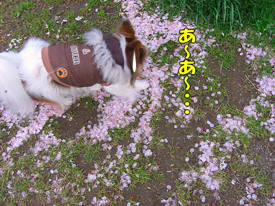 ºù»¶¤ë¡¦¡¦¡¦©