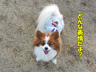 ¥µ¥¶ÌÌÁê¢