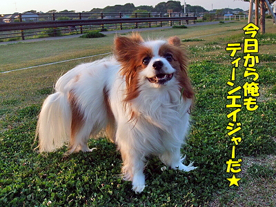 Happy Birthday sazabyª