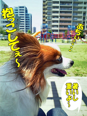 ÂÇÀ¥¤Ë¤Æ¦