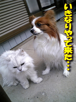 ¤¤¤¤Ê¤ê¤ä¤Ã¤ÆÍ褿¡¦¡¦¡¦¡¦