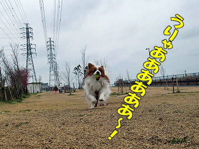 ¥«¥Á¡¼¡¼¡¼¥ó¡ª§