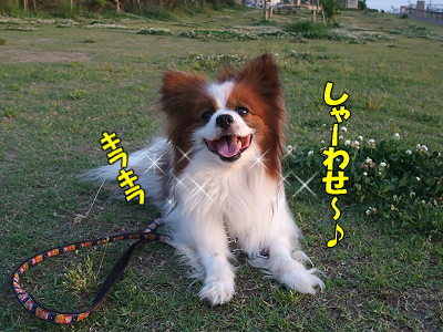 ¤µ¤µ¤ß¤¸¤ã¤¬¤¸¤ã¤¬©