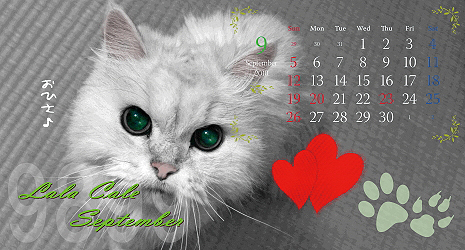¡Ú¥µ¥¶¥«¥ì2010¡ÛbetaÈǬ