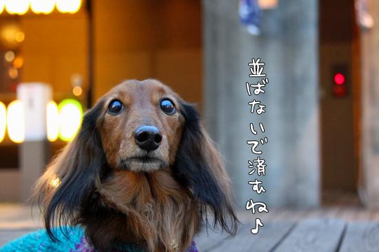 ¥Ñ¥ë¥×¥é¥¶¡¦¡¦¡¦¡¡05
