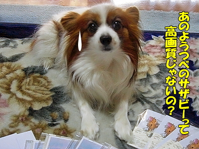 ÀÖÀå¶æ³ÚÉô¡¦½Õ¥ô¥¡¡¼¥¸¥ç¥óÅöÁª¼Ôȯɽ¡Á¡ú¥