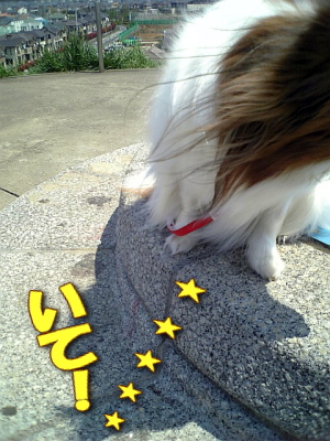 ¤¤¤Æ¡£¡£orz