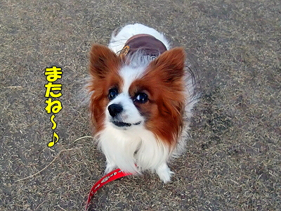 ¥Ð¥¤¥Ð¥¤¡ú2008§