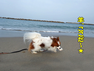 ¤ª»Ð¤µ¤ó¤Î»È¤ï¤Ê¤¤»Ø¤Ï¤É¡Á¤ì¡©ª