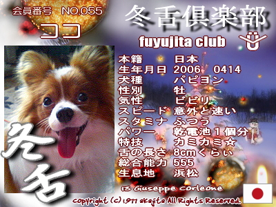055-coco-fuyu