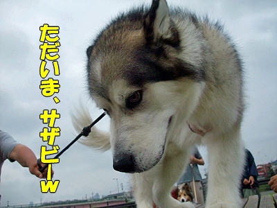 ¤ª¤«¤¨¤ê¥Õ¡¼¥Á¡úª