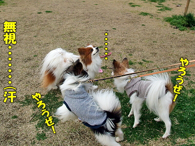 ¤¹¤×¤ê¤ó¤°¡ú¥×¥Á¥ª¥Õ part2©