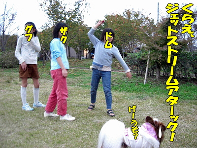 ¥¸¥§¥Ã¥È¥¹¥È¥ê¡¼¥à¥¢¥¿¥Ã¥¯¡ú