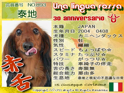 893-taichi-30kinen