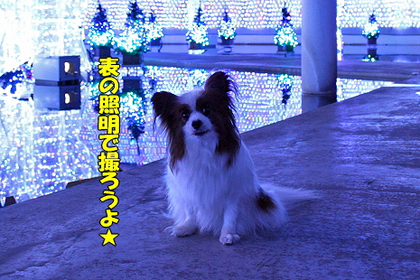 Ìë·Ê¥ª¥ó¥é¥¤¥ó¬