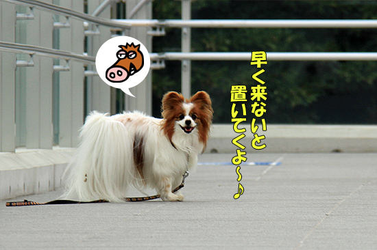 ¥µ¥¶¥Ó¡¼¡¢¥·¡¼¥µ¥¤¥É¡¦¥Ç¥Ã¥¤ËΩ¤Ä¡ª¡ª¡¡06