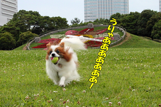 Ǩ¤ì¤ë¤ª¡¦¡¦¡¦¥