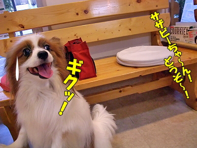½©Àå¥ê¥Ù¥ó¥¸¡úµÆ²Ö¾Þª