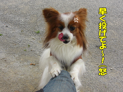 ½Õ±«¡¦¡¦¡¦¤