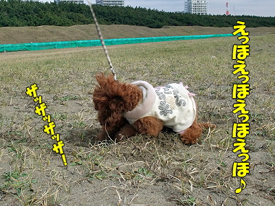½Õ°ìÈ֡ʲֻþ·×¡Á³¤Êԡ˯