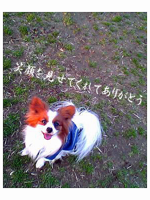 Happy Birthday sazaby¤