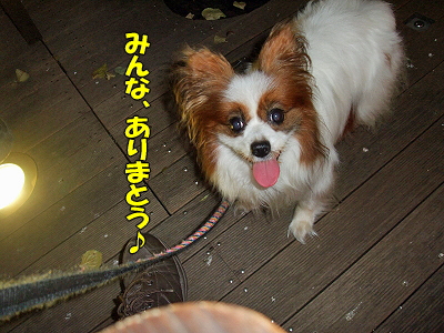 ¤ªÂæ¾ì¥é¥ó¥Ç¥Ö¡Á¡ú´