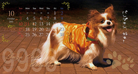 ¡Ú¥µ¥¶¥«¥ì2010¡ÛbetaÈÇ