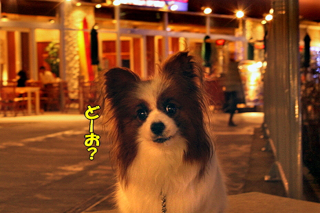 Ìë·Ê¥ª¥ó¥é¥¤¥ó²