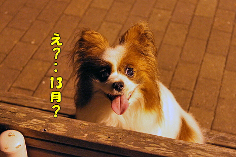 ¥È¥ï¥¤¥é¥¤¥È¡ú¥µ¥¶¥Ó¡¼ª