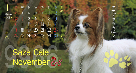 ¡Ú¥µ¥¶¥«¥ì2013¡ÛÇÛÁ÷¡Á¡ú¡ù¡ú¡¡15