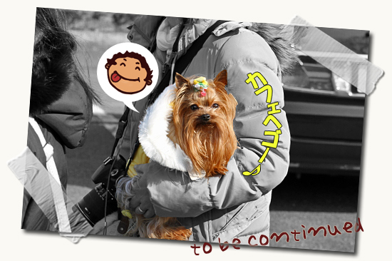 Æ»Ëþ¥°¥ê¡¼¥ó¥Ñ¡¼¥¯¤Ë¤Æ¡¦¡¦¡¦¡¡20