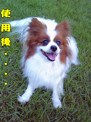Ãî½ü¤±¥¹¥×¥ì¡¼¥